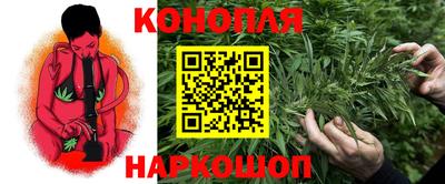 гашик Бузулук