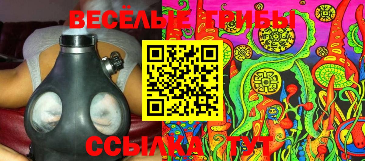 Киселёвск  Псилоцибиновые грибы Psilocybine cubensis  Вход с VPN 